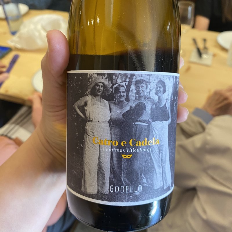 A bottle of Catro e Cadela Godello wine